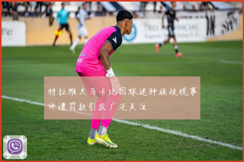 特拉维夫马卡比因球迷种族歧视事件遭罚款引发广泛关注